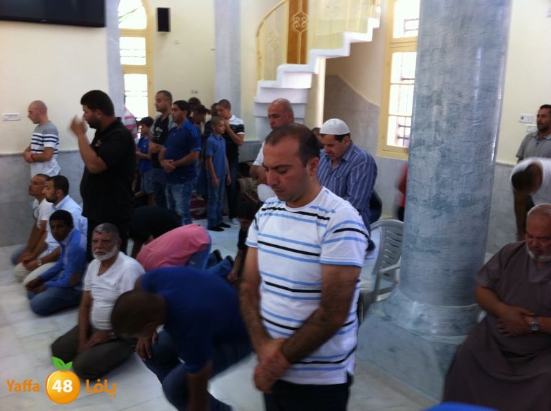 suliman satel nozha 621 (4).jpg